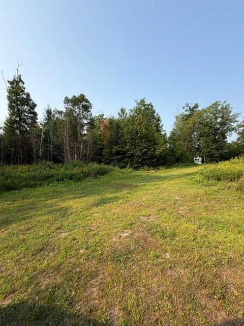 Picture 8