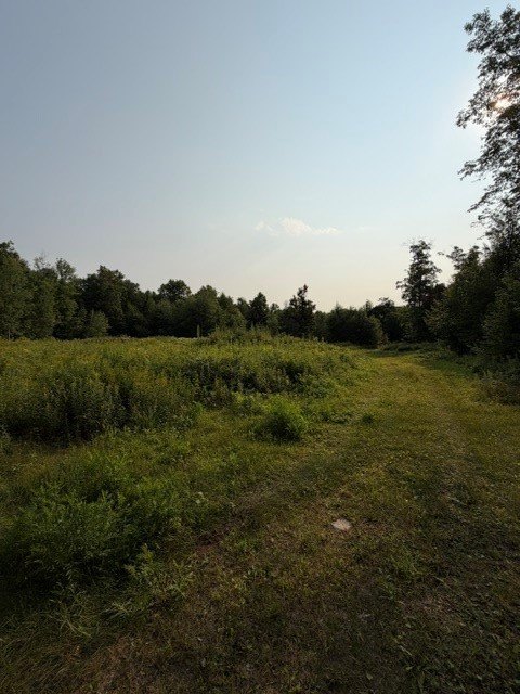 Picture 20