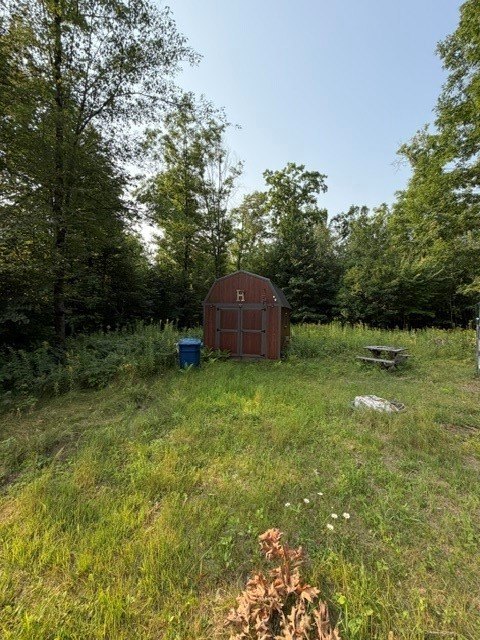 Picture 17