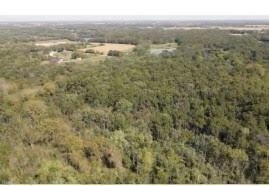 Wooded Land Parcel in Lowell