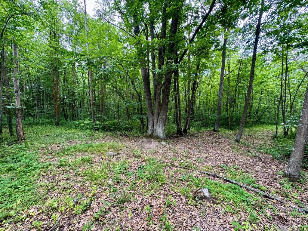 Picture 23