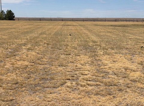 Land -40, Bushland, TX