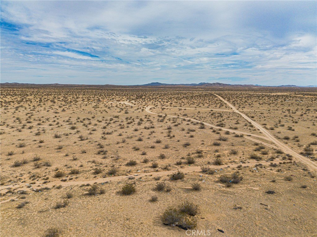 Picture 20