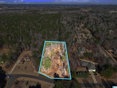 LAND - ODENVILLE, AL