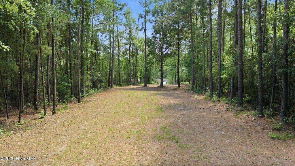 Picture 22