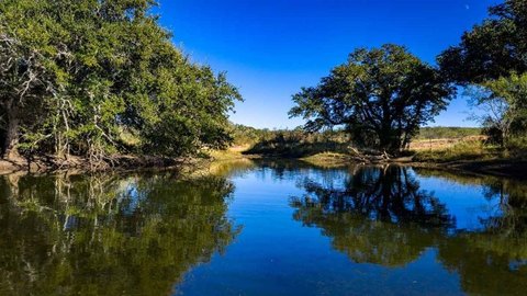 98+ Acres in Mason County