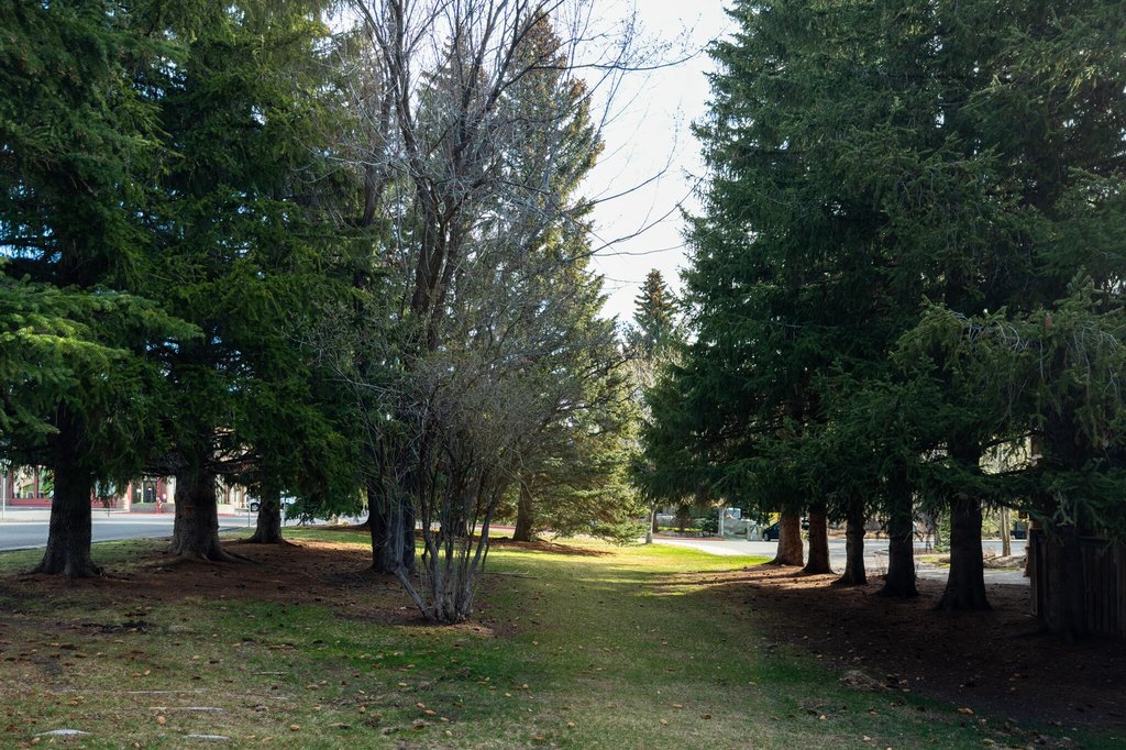 Picture 6