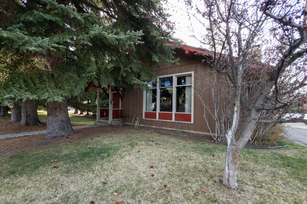 Picture 10