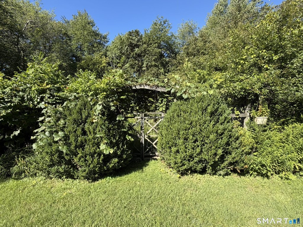 Picture 25