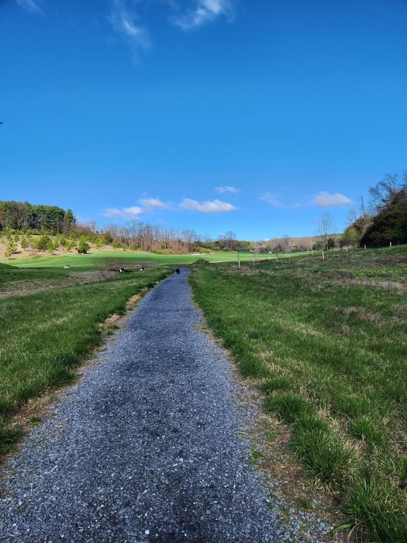 Picture 5