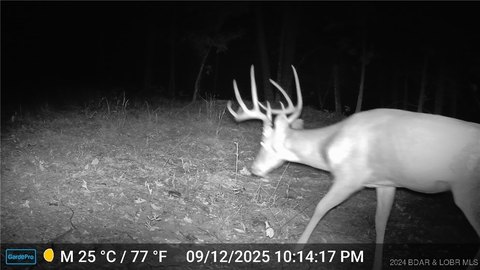 Picture of Land at Broken Circle Rd 30915, Stover, MO