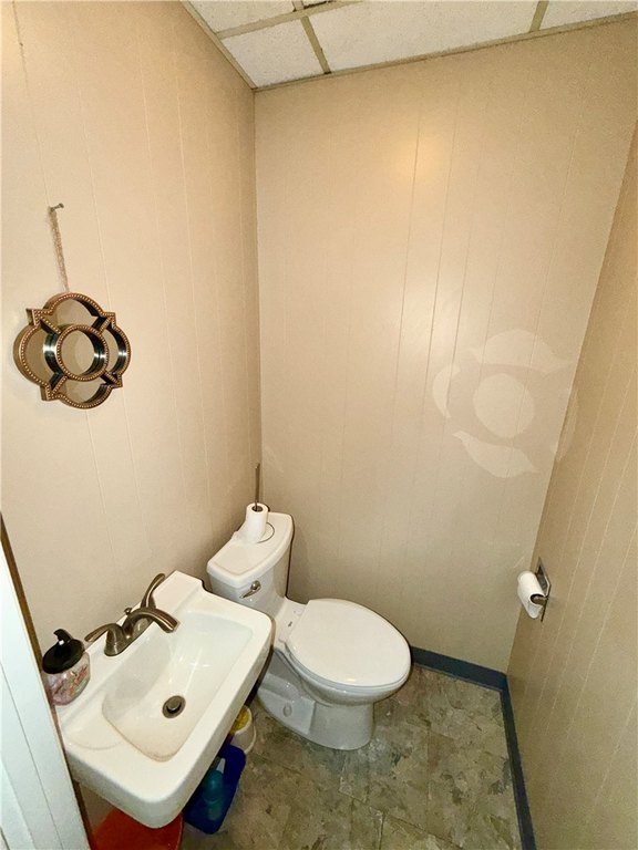Picture 5
