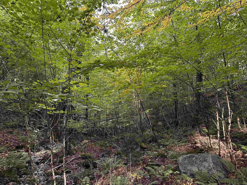 Picture 21