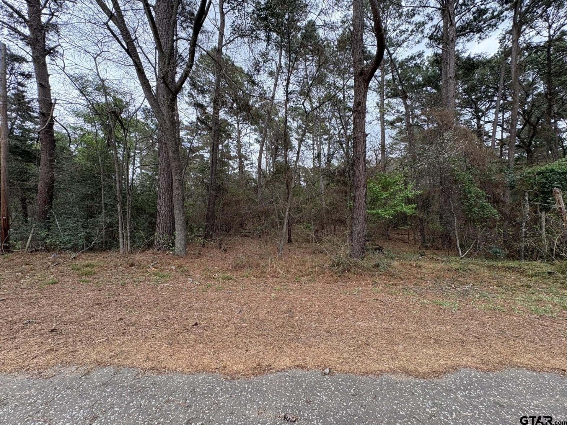 Residential Lot in Gated Community