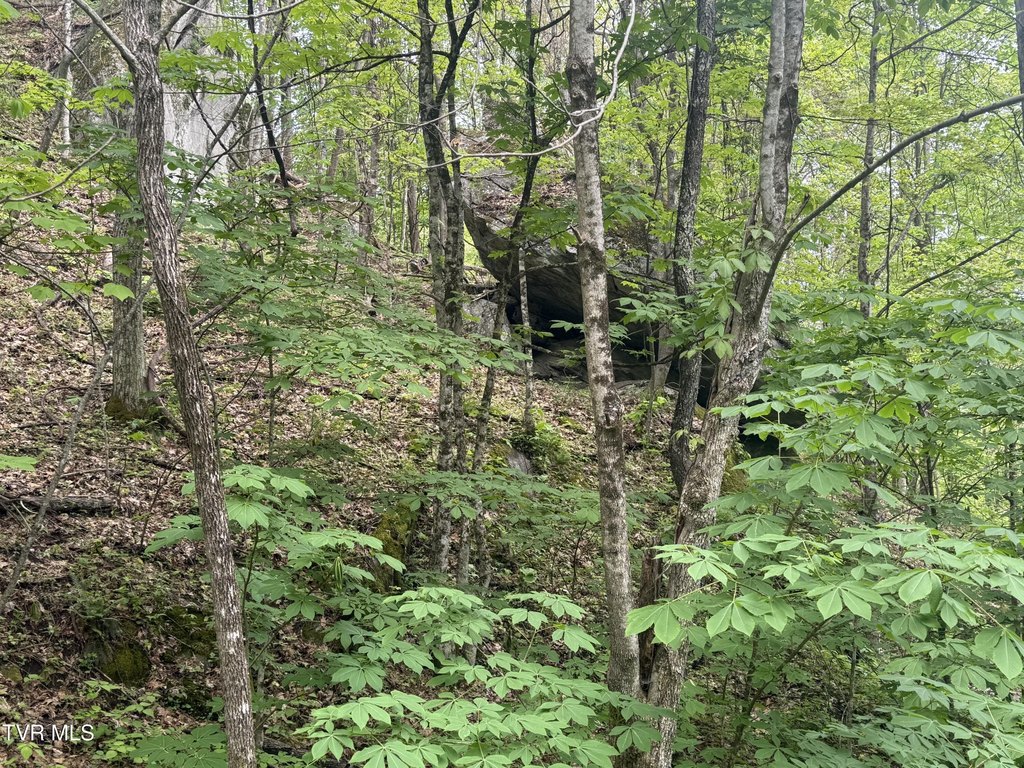 Picture 19