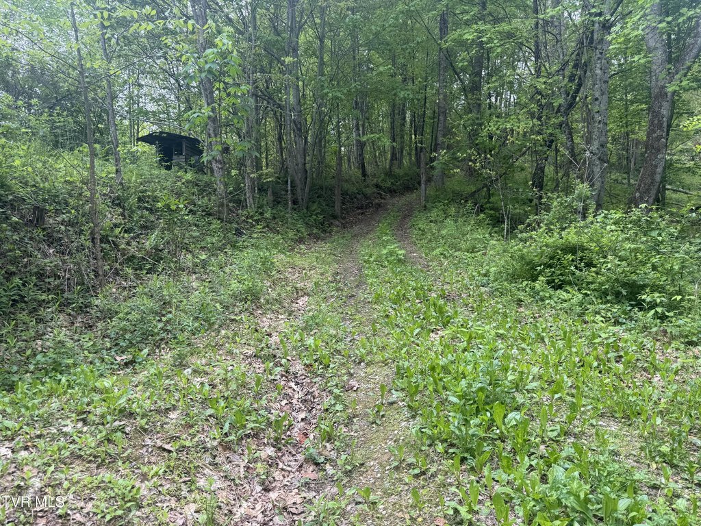 Picture 18