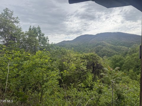 Roan Mountain Land with Cabin