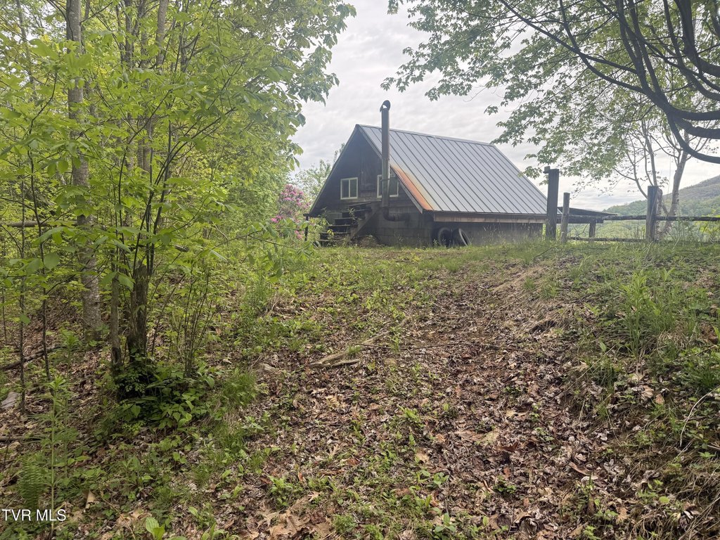 Picture 17