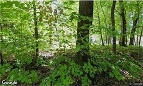 Residential Land in Shorewood, MN