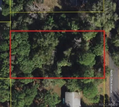LAND - Crystal River, FL