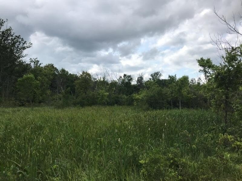18.33 Acres on Duke Creek