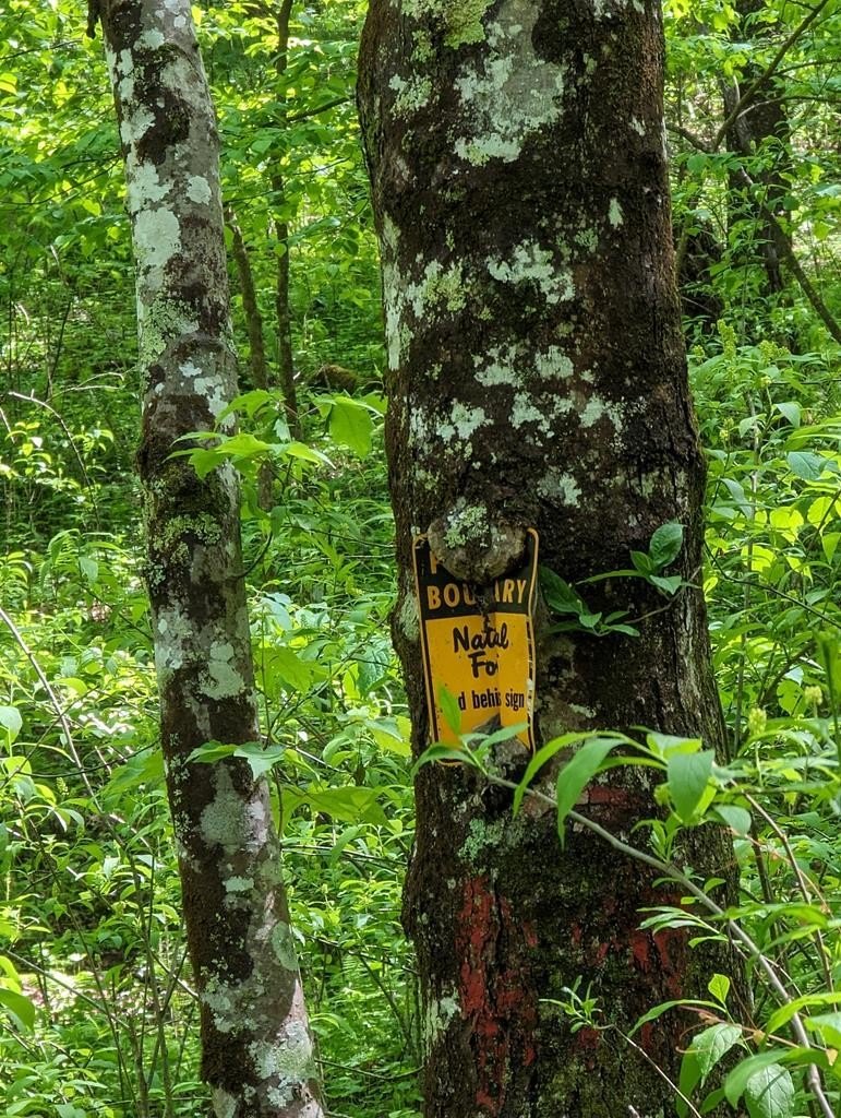 Land Near Cohutta Wilderness