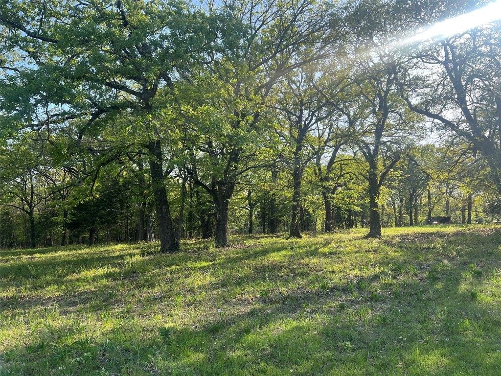 Picture 17