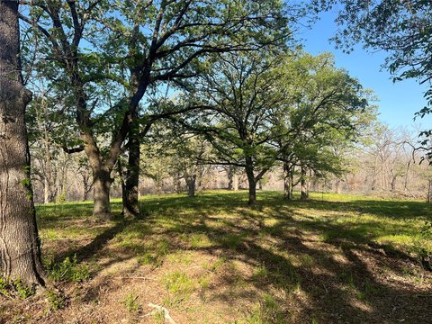 Dock-Capable Waterfront Land