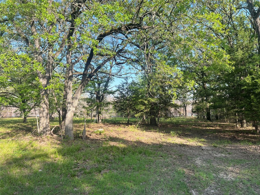 Picture 18