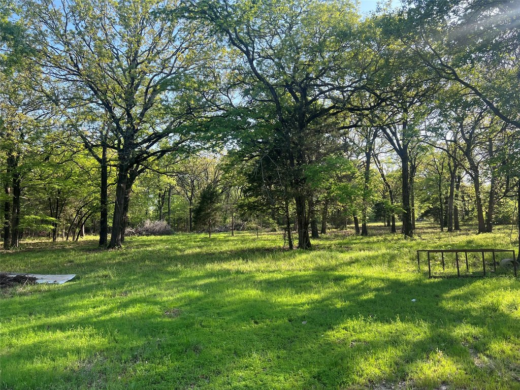 Picture 19