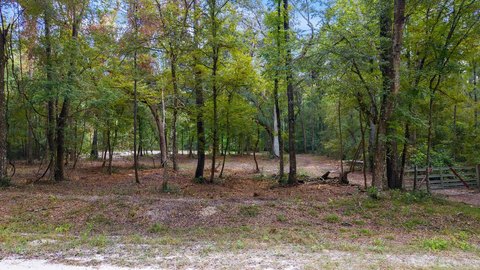 Land, Old Town, FL