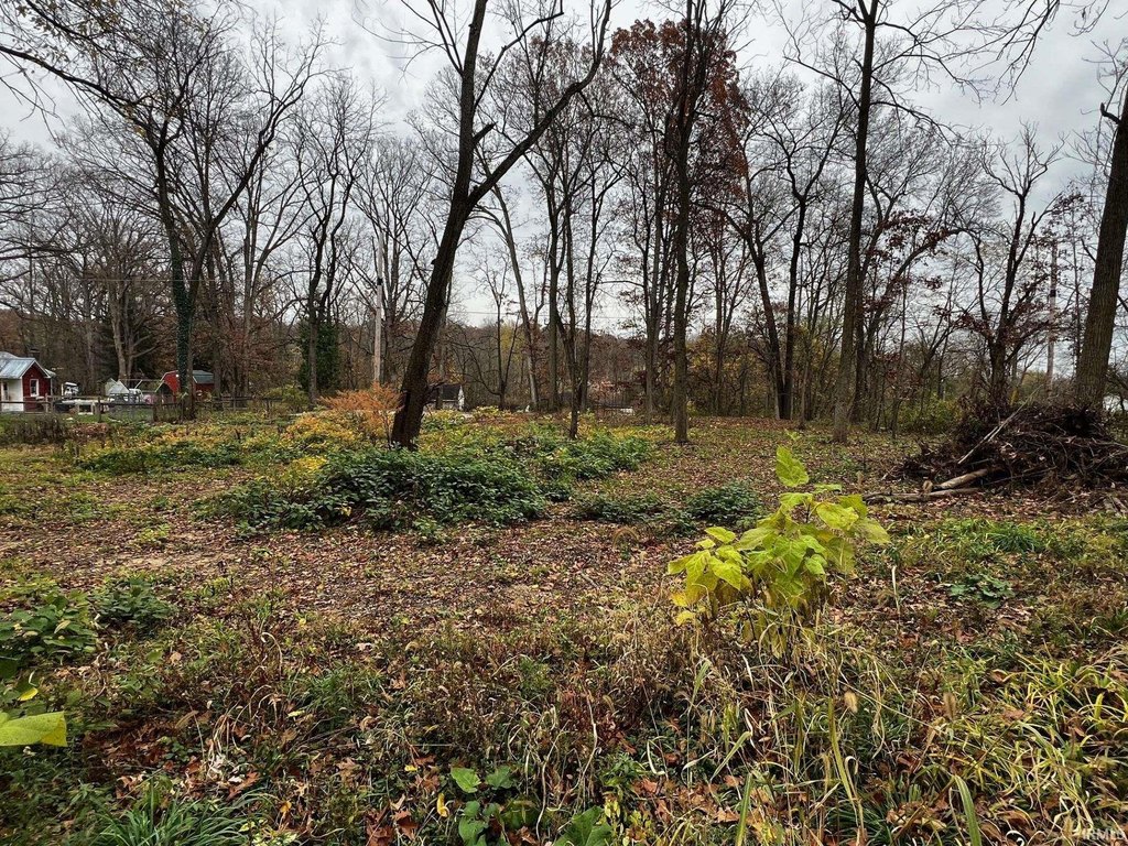 Picture 5