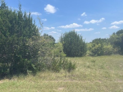 Golf Course Lot in Whitney