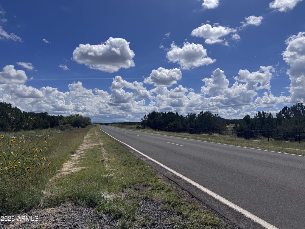 Picture 19