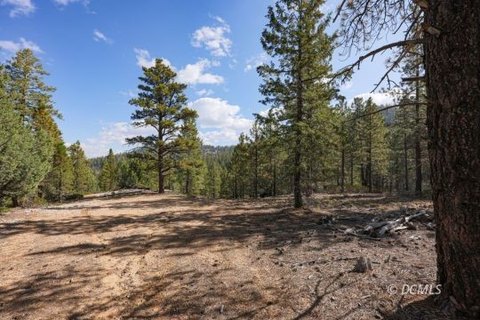 Single Family Lot, Duck Creek Village, UT