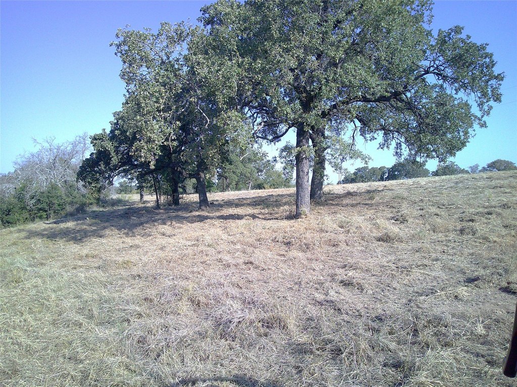 Picture 7