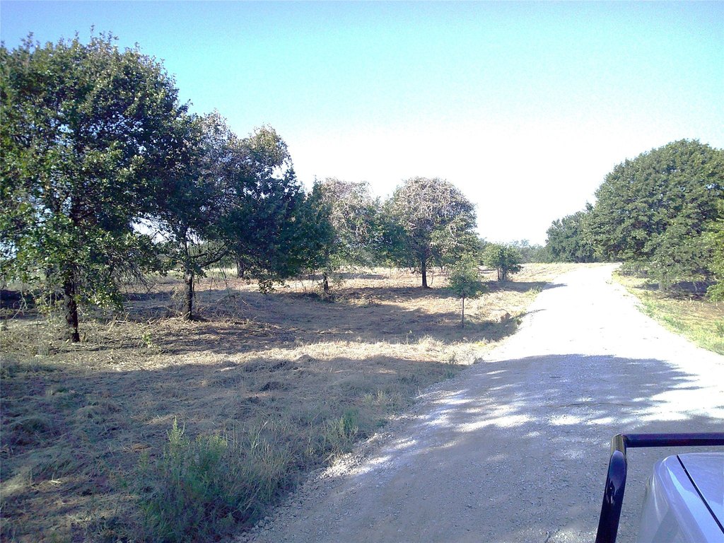 Picture 3
