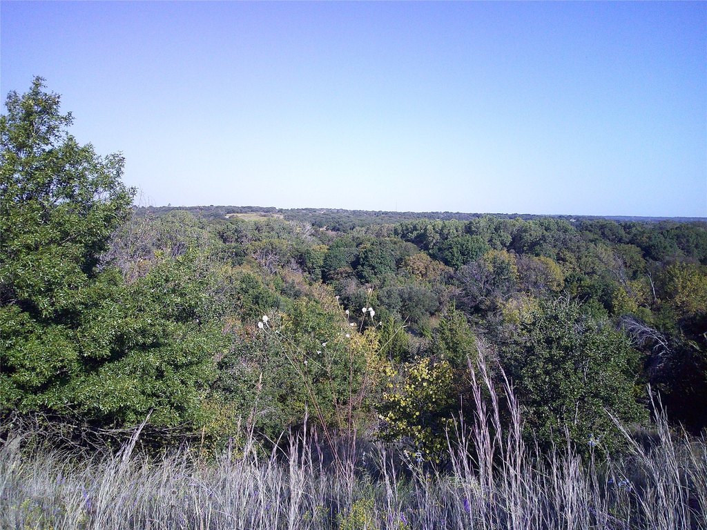 Picture 8