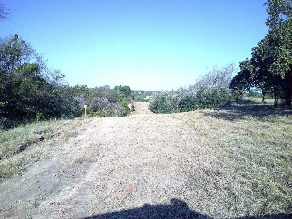 Picture 6
