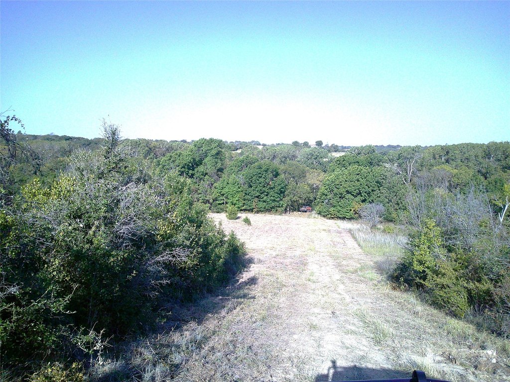 Picture 13