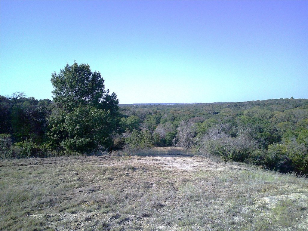 Picture 11