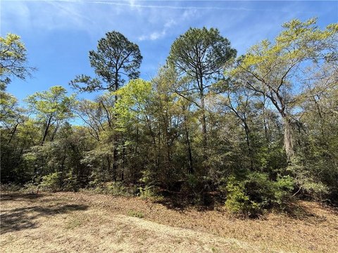 Residential Lot in Waverly, GA