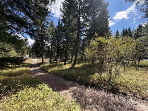 Land, Cascade, ID