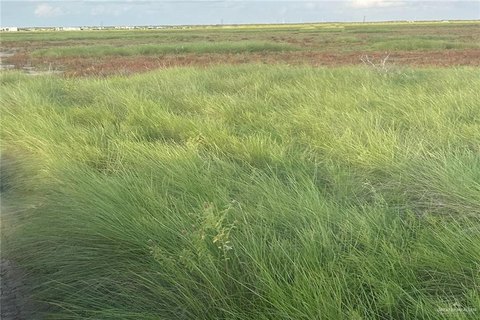 Port Isabel Raw Land