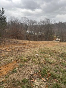 Unrestricted Land in Laurel County