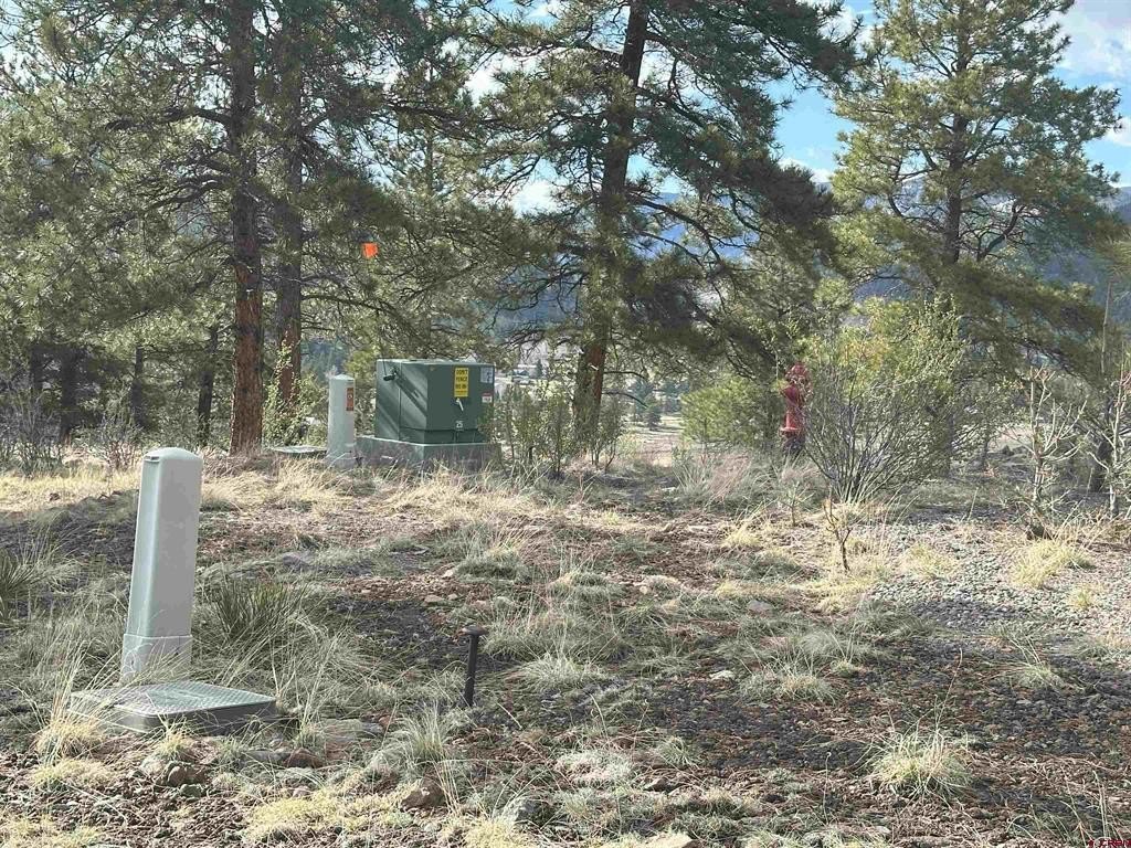 Picture 19