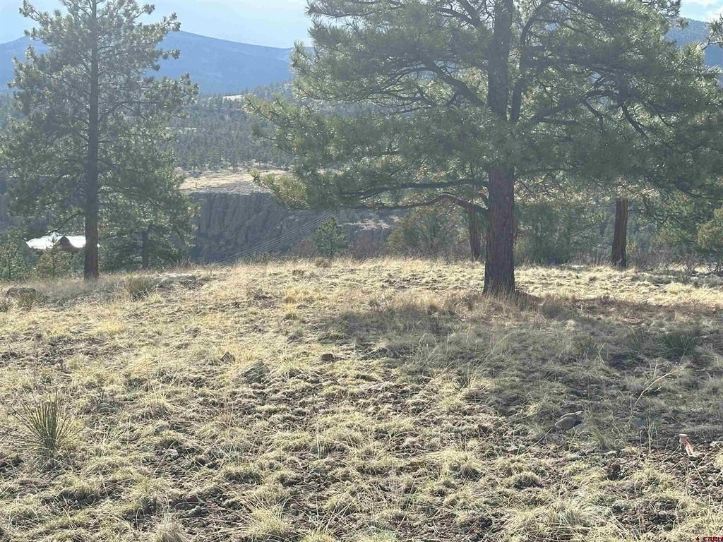 Picture 20