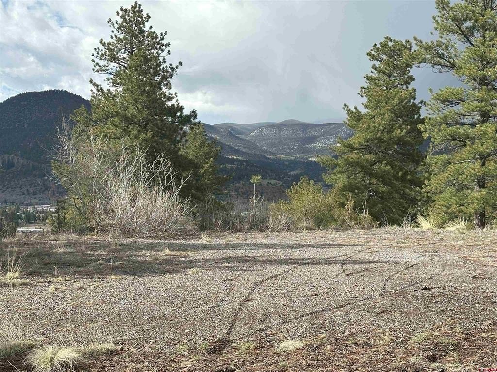 Picture 4