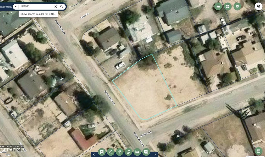 Picture 3