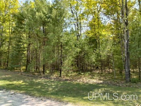 Wooded Lot in Rapid River